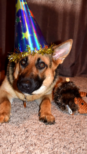 1st birthday.PNG