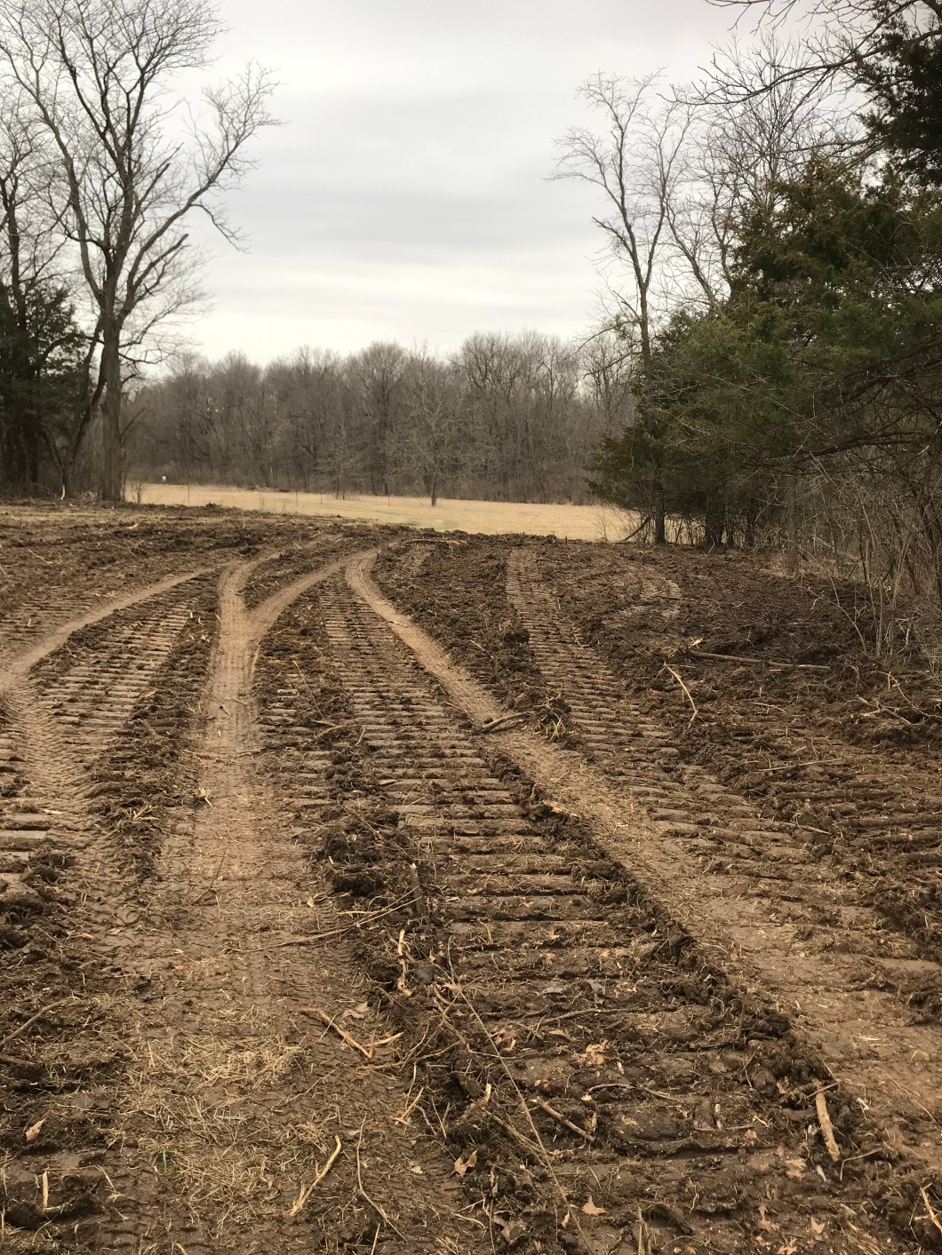 3DAE7AE6-E1F2-4AAE-8281-D3A7F2DC0039