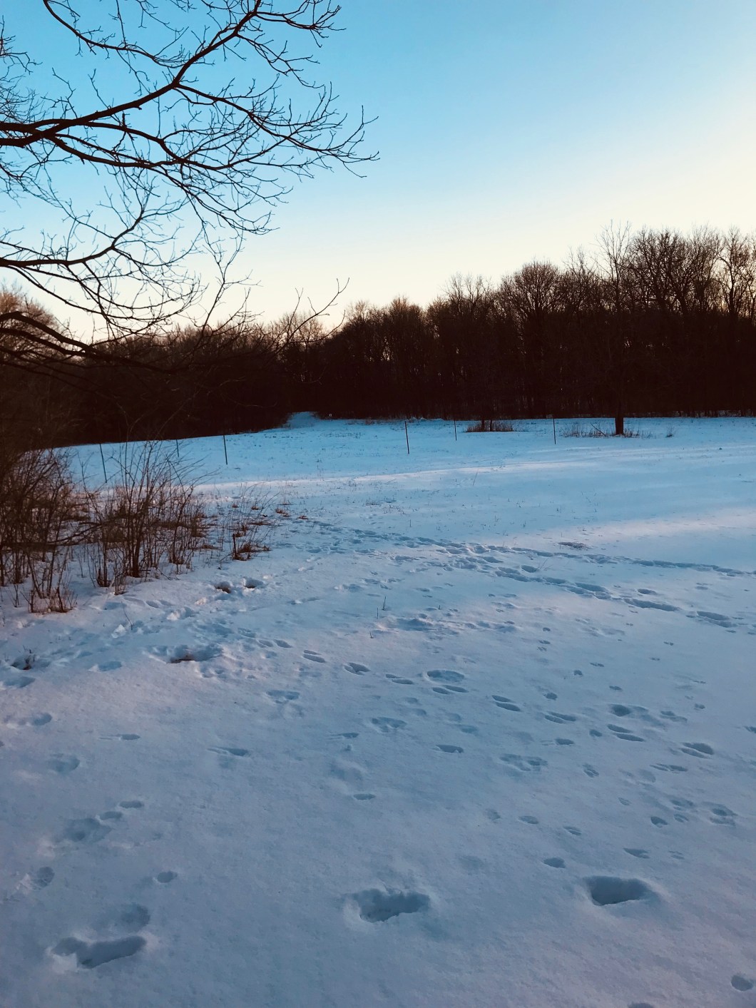 ADC95D88-D6E9-40E2-8046-3D639227BF9A