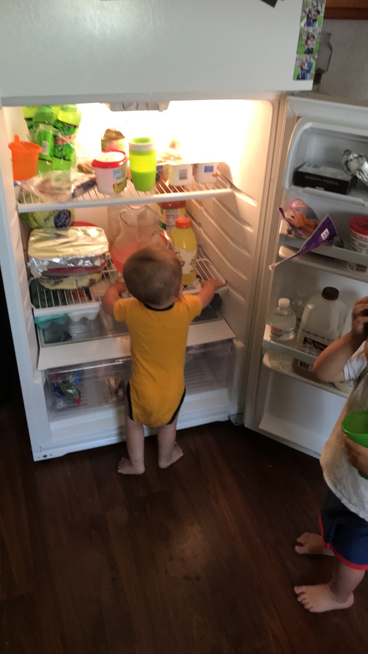 528B2CFB-06EB-4A74-8F50-6A55827DBECF