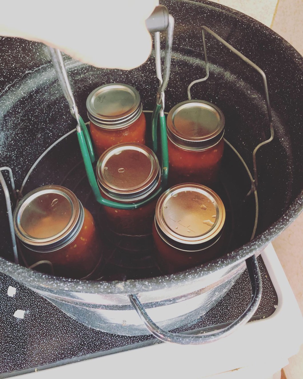 12C8DABB-B61D-41A1-85E8-C46E312A3857