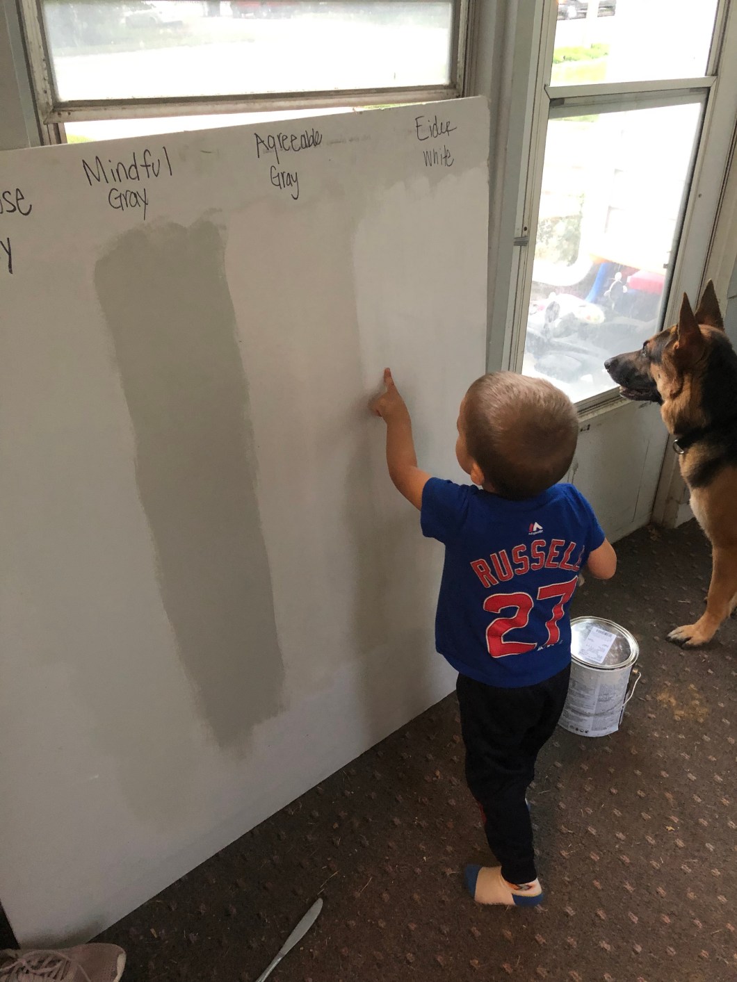 69D694E6-88E9-40C0-AD88-BFB5FEB11187