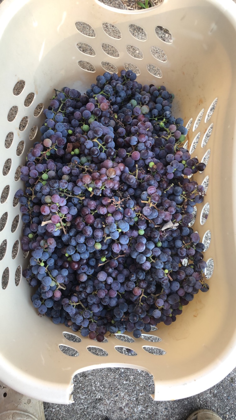 7BA32FDB-99E6-44EC-B440-E5FB18BA8682