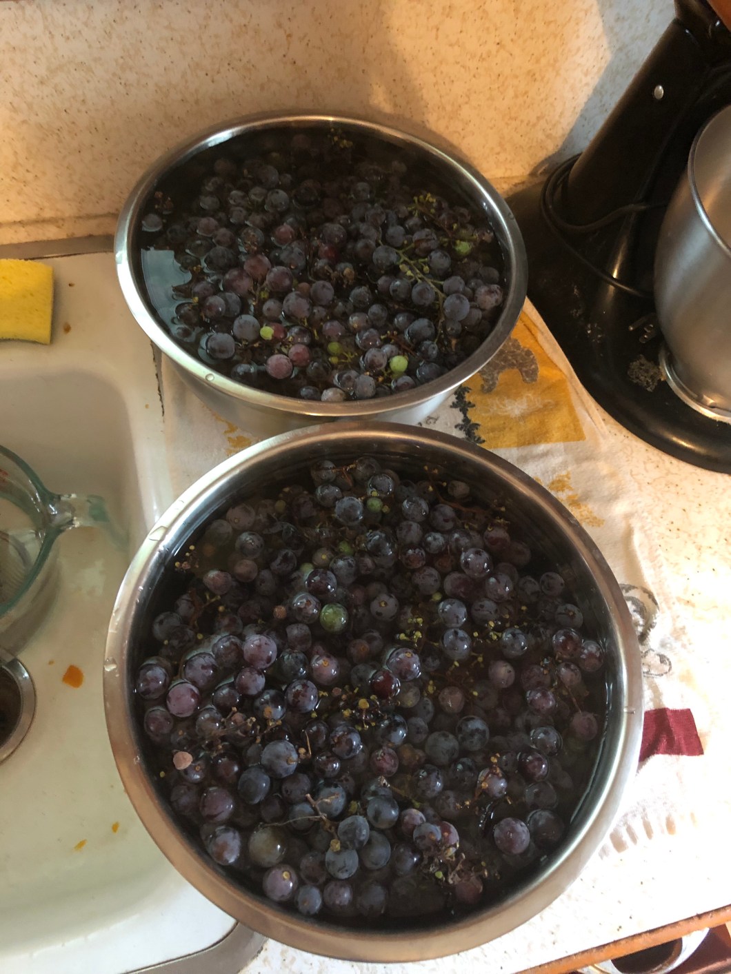 9761FB27-06F4-4EA7-BFEF-4F92E2FB68ED