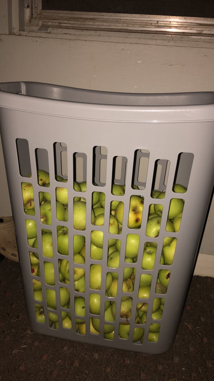 9C7E29C2-EC01-4C7C-8260-71610E830A43